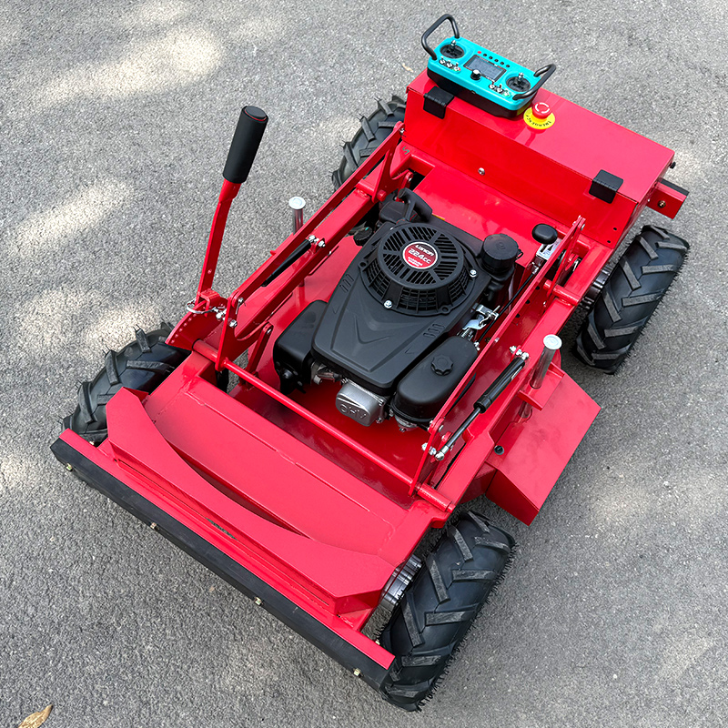 Customized Lawn mower/adjustab - Reel Handle recensione e prezzo