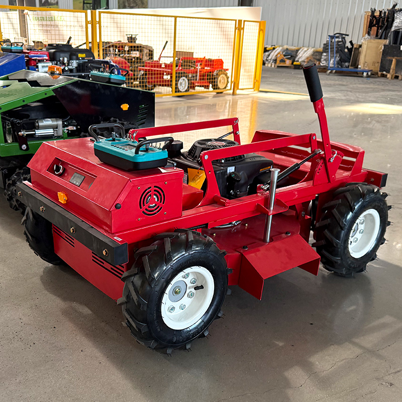 Customized Lawn mower/adjustab - Reel Handle recensione e prezzo