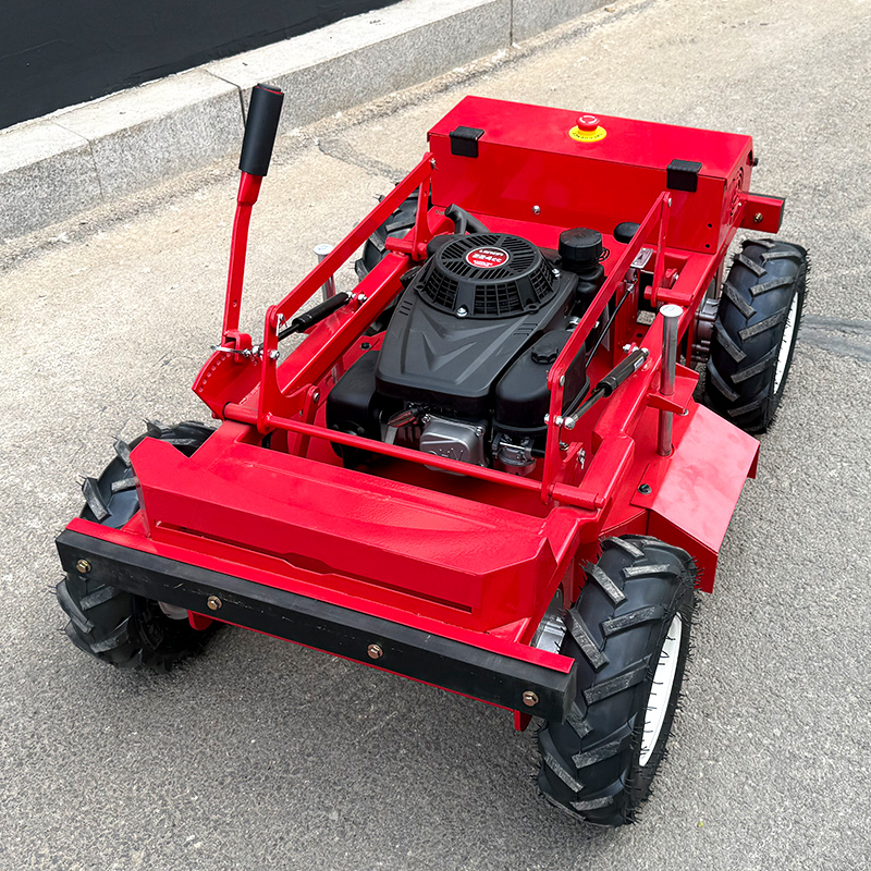 Customized Lawn mower/adjustab - Reel Handle recensione e prezzo
